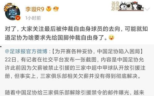 李璇爆料陈戌源视频播放,真相与争议并存